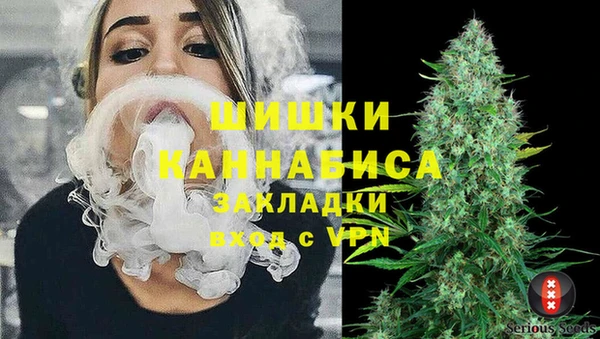 сатива Алексин