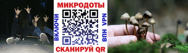цена наркотик  мега ссылки  Галлюциногенные грибы Psilocybine cubensis  Кочубеевское 
